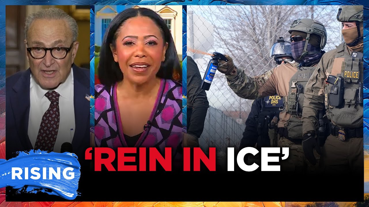 Schumer LAYS OUT Immigration DEMANDS To Avoid Gov't Shutdown: Lindsey Granger | RISING