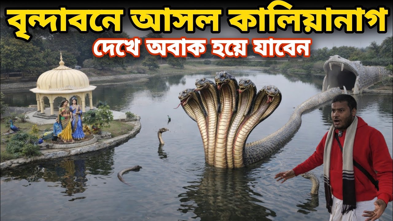 বৃন্দাবনে আসল কালিয়া নাগ || দেখুন  শ্রীকৃষ্ণের অভিসারে পাথররূপে রয়েছে || জেত গাও Vrindavan Dham