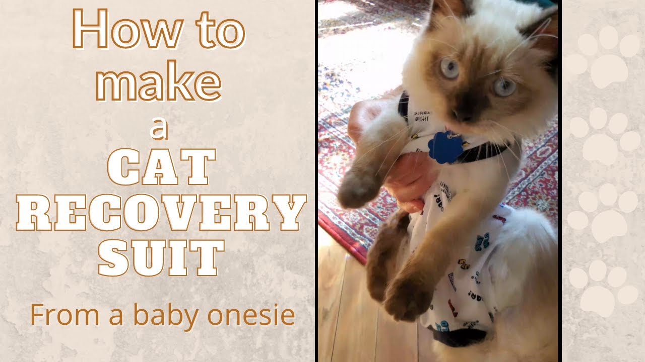 How to make a cat recovery suit from a baby onesie II كيف تعمل لبسه للقطة بعد عملية التعقيم #shorts