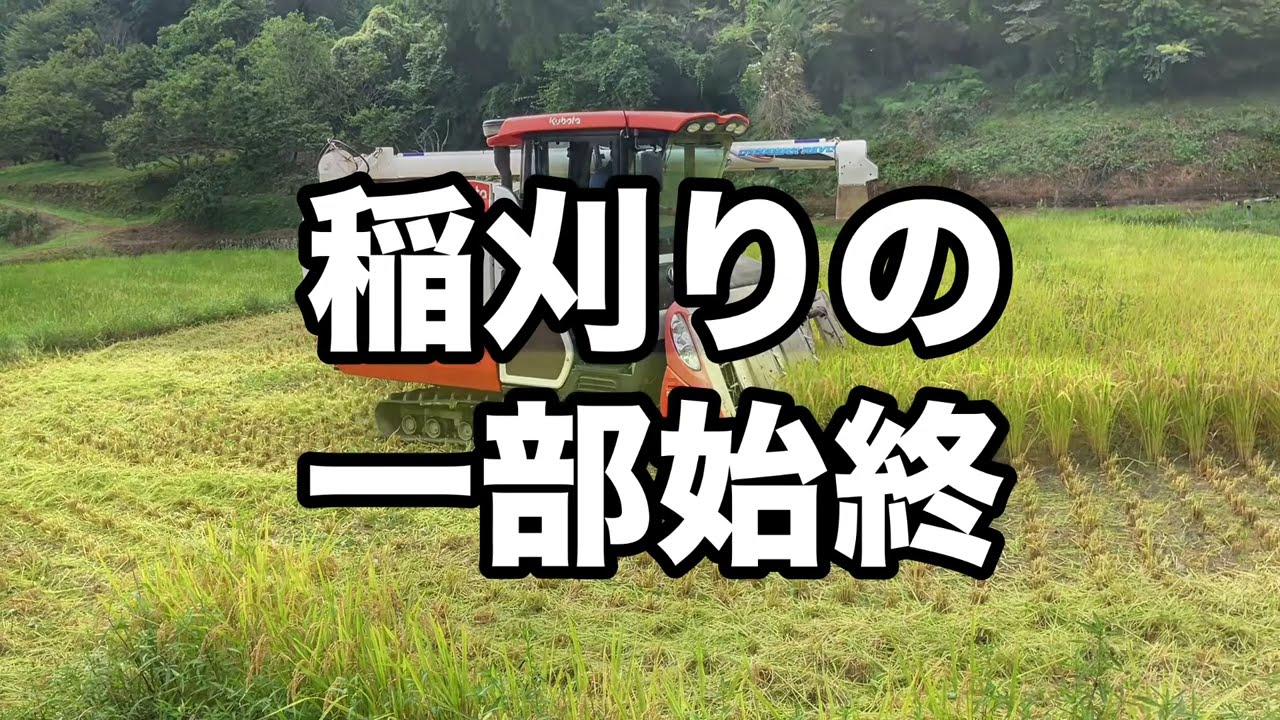 プロの技見せます　　＃稲刈り　＃オペレーター