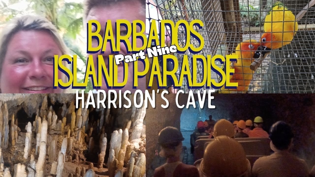Episode 9 Harrisons Cave