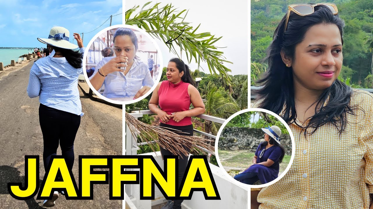 Jaffna - Delft Island Sri Lanka - All in One Video 💐🌅🌴🧳#theshadowsl #jaffna #delft