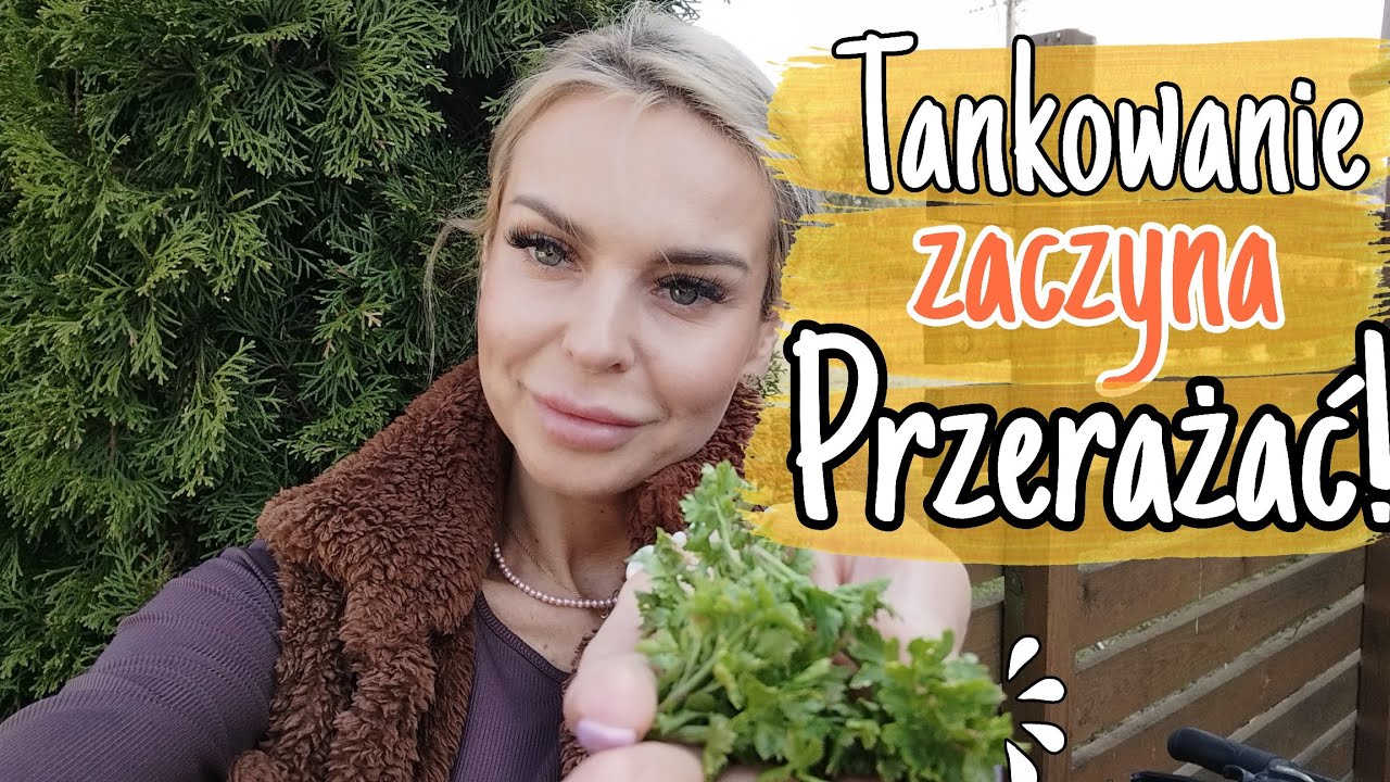 SZOK NA STACJI - WRACAMY PIESZO -  OBIAD Z NICZEGO