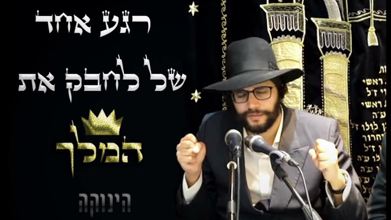 ♛ הינוקא | רגע אחד של לחבק את המלך 👑🔊*מומלץ