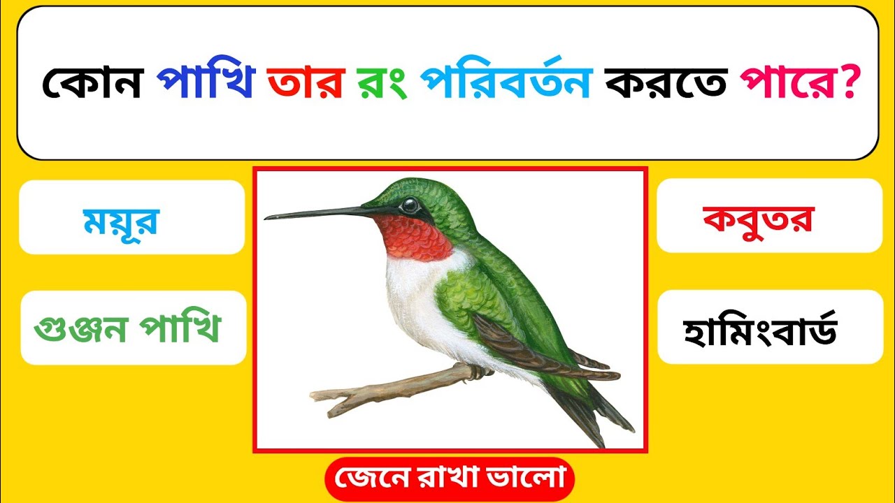 কোন পাখি তার রং পরিবর্তন করতে পারে 🦜| Gk Questions | Gk Bangla | 