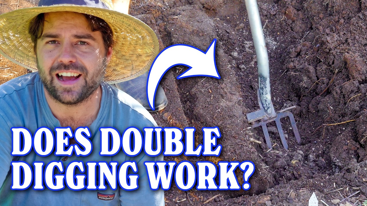 Revive Tired Soil: Why I&rsquo;m Double Digging My Garden Again