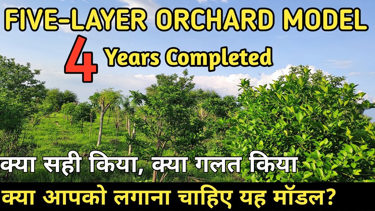 4 years of Subhash Palekar Five-layer Orchard Model | Natural Farming Made Easy