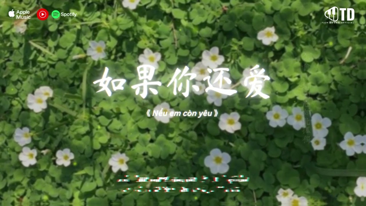 🎵 Playlist Nhạc Trung Hot TikTok | Những Bản Nhạc Mới Nhất Douyin Trung Quốc 2026