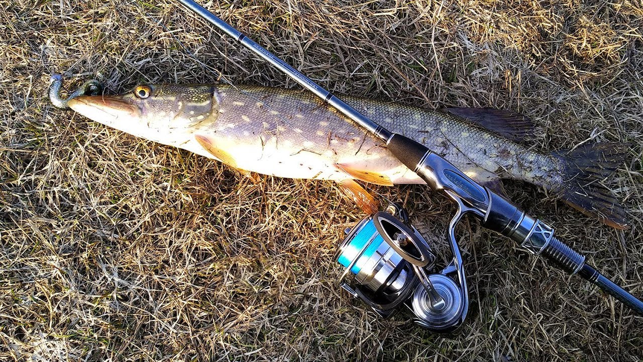 Спиннинг из Графена - обзор после рыбалок! Sportex Graphenon GS2401 + Daiwa EXIST 4000