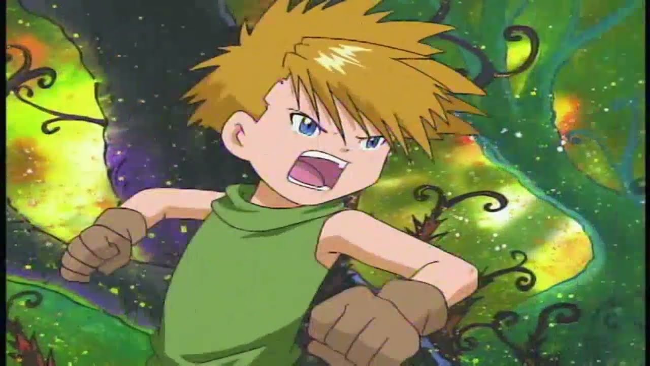 Digimon Season 1 ~ Matt & Tai Fight Each Other