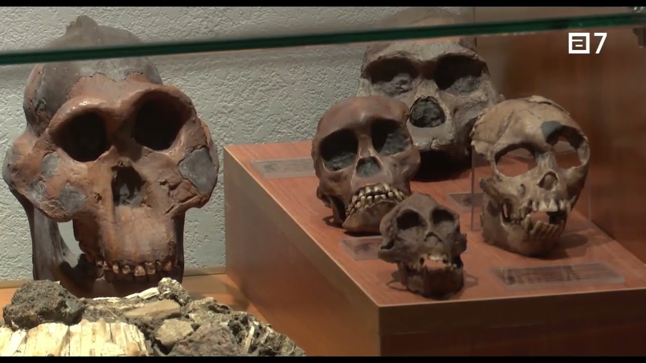 El Museo de Geología en la TPA