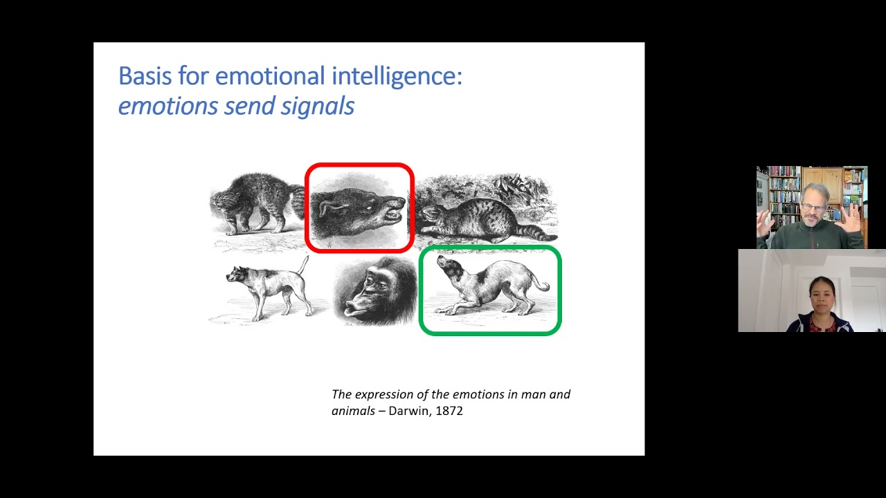 Preview Amotions Workshop On Emotional Intelligence Part 1 with Yale Researcher Dr.David Caruso