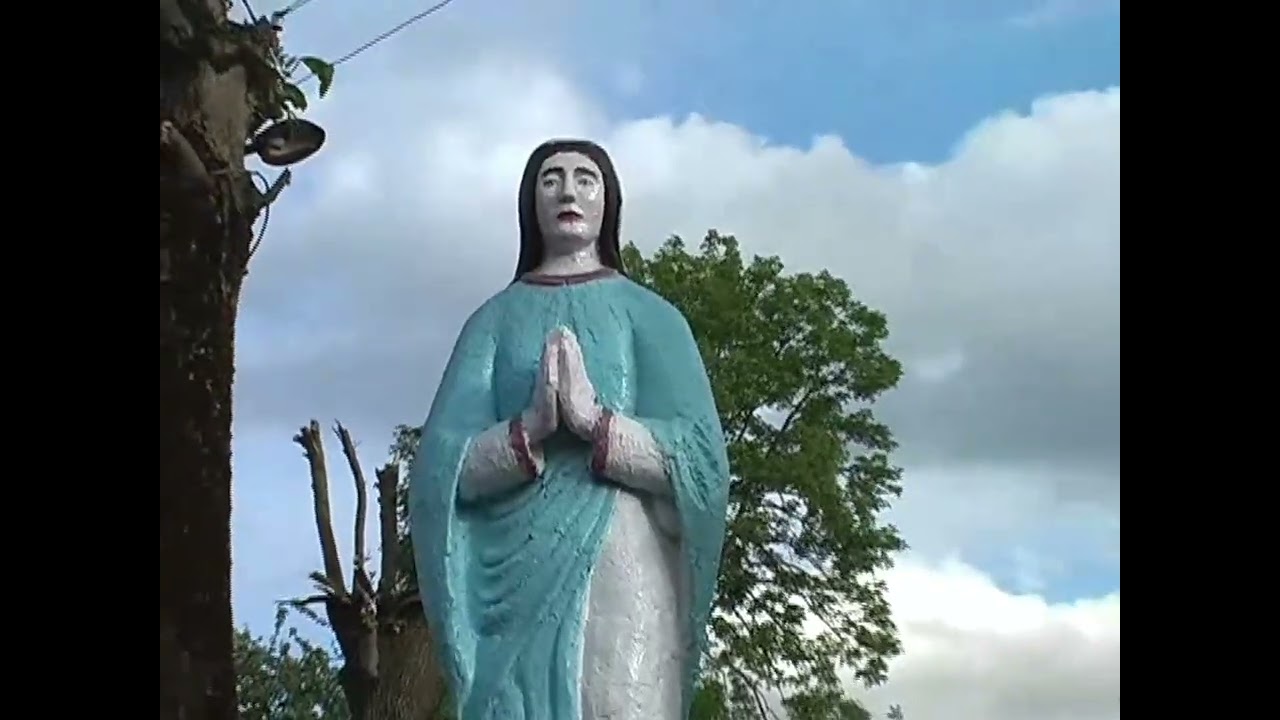 Поїздка учасників художньої самодіяльності Зарудянського клубу на спільний концерт в с. Жабиня 2009р