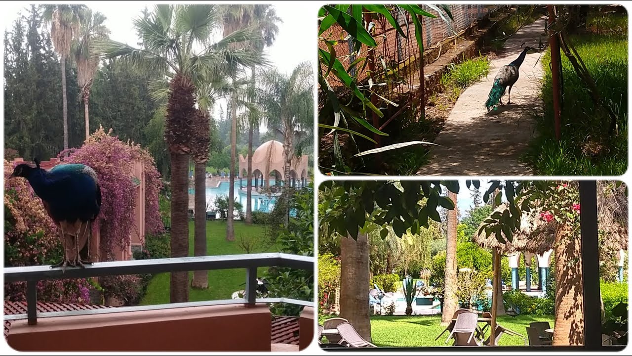 Un très beaux week-end  à #Chems-Hôtels Le TAZARKOUNT  AFOURAR   السياحة-الجبلية#    #morocco
