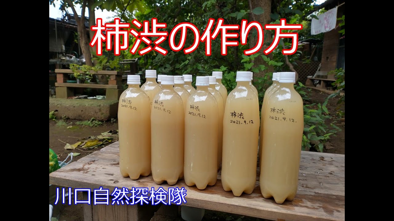 川口自然探検隊 #25 「柿渋づくり～柿渋の作り方」