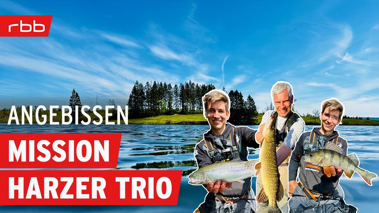 Forelle, Barsch und Hecht an einem Angeltag? | Angebissen - Der Angelpodcast vom rbb #173