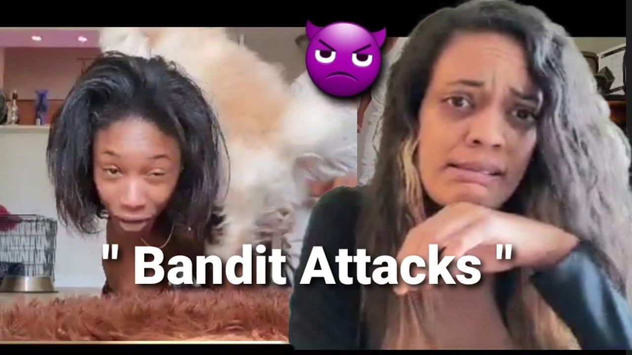 We pranked our puppy this happened | Sam and Britli Airtight