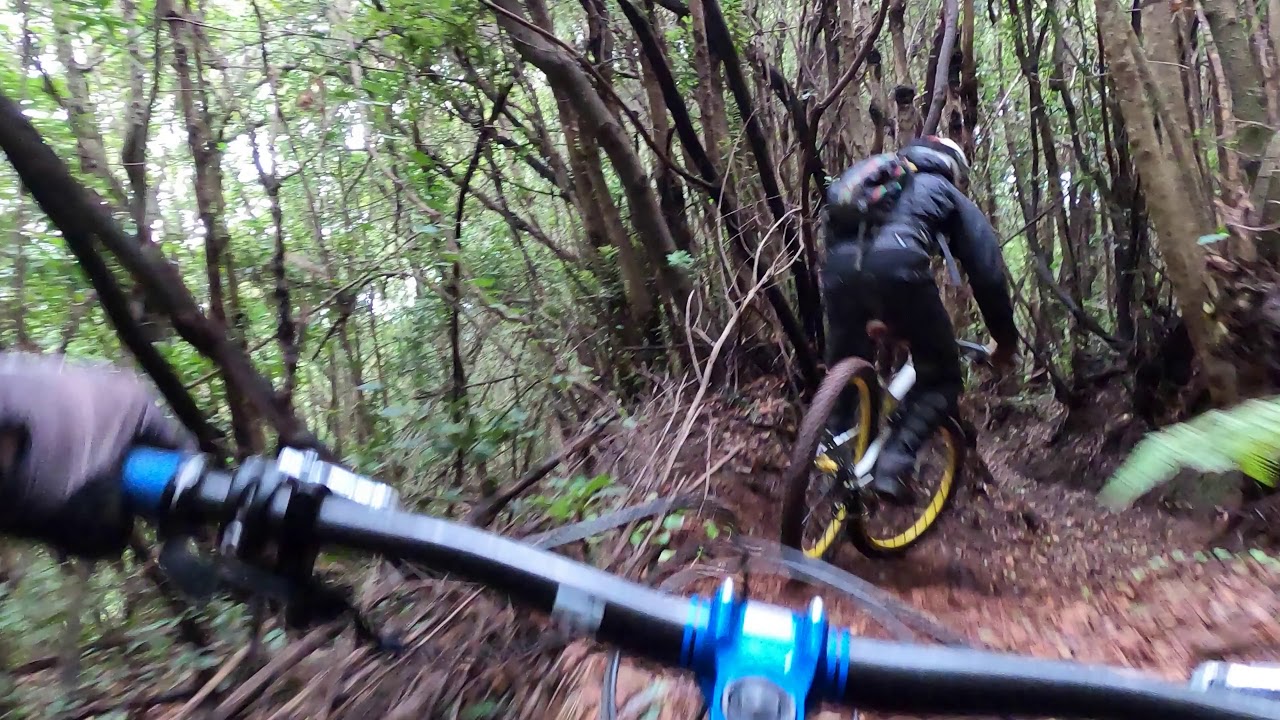 MC Bitter, Biken auf La Palma, Trails Nordosten. La Palma Flow, Regenwald mit MountainRide La Palma.