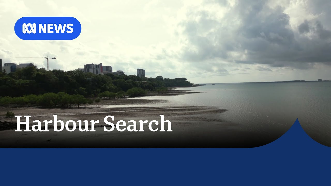 The search for the body of a man seen submerging in Darwin Harbour | ABC NEWS