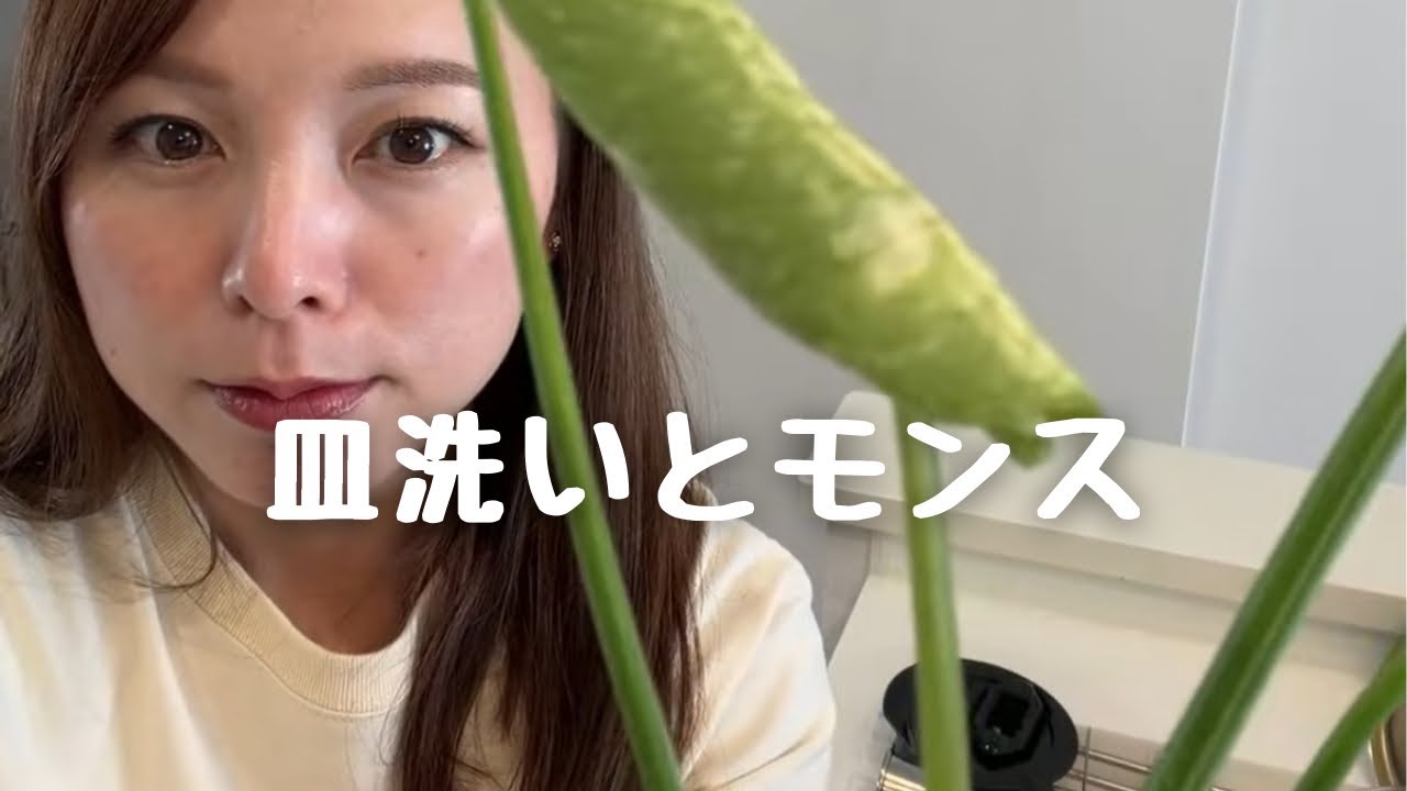 お皿洗い