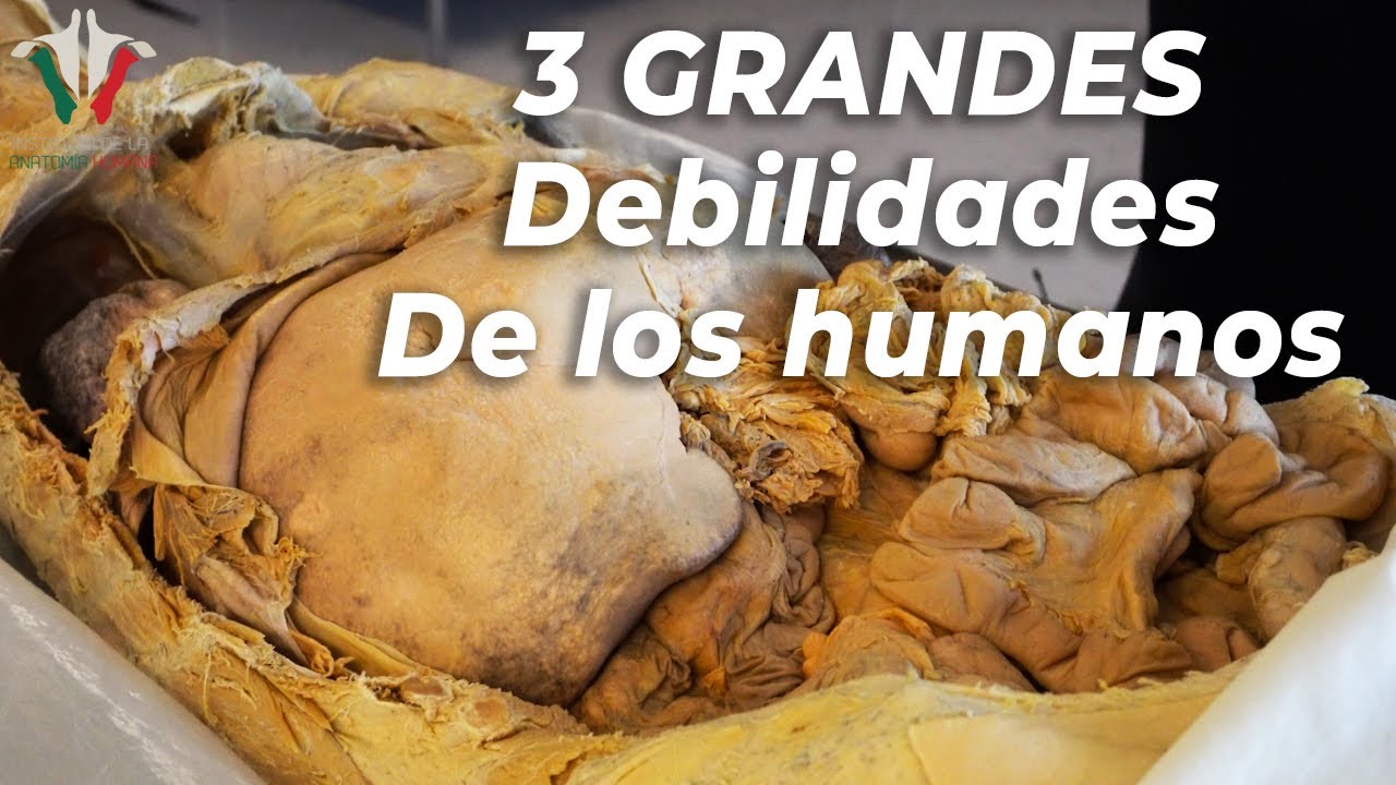 Las 3 mayores debilidades del cuerpo