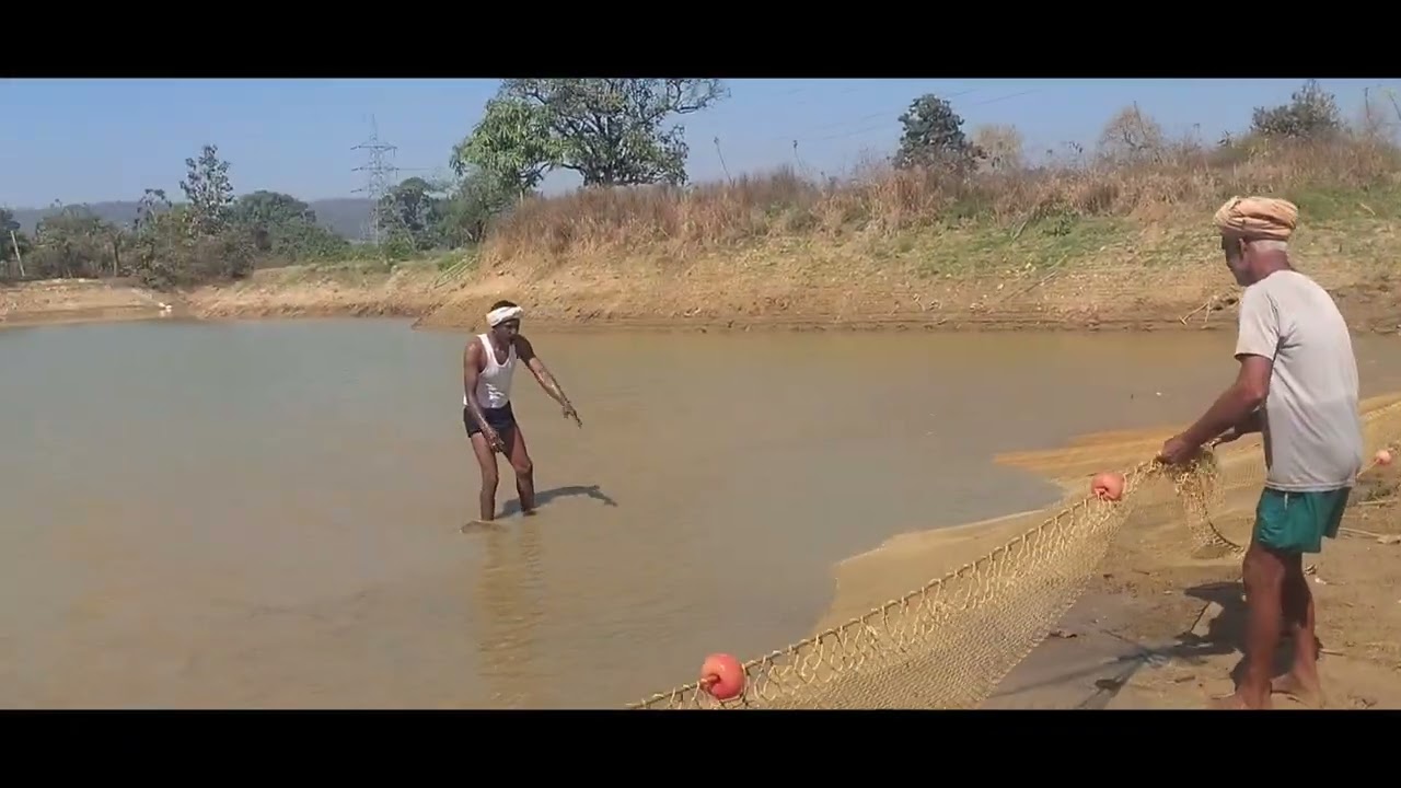 Aaj Gaw Ke Talab Me Machli Mar Gayi 😢 | Kisan Ki Badi Chinta | Village Life Vlog