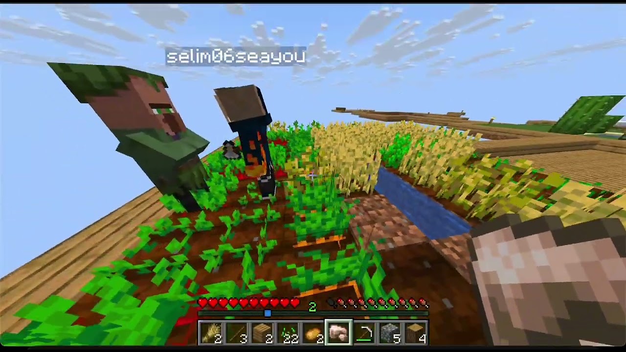 Tek Blokta Hayatta Kalabilir miyiz? | Selim ile Minecraft-3
