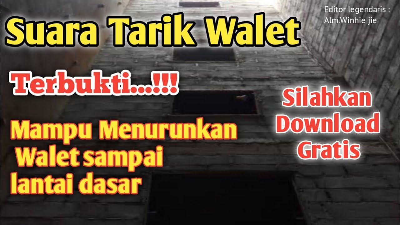 Suara tarik walet terbukti link download ada di deskripsi