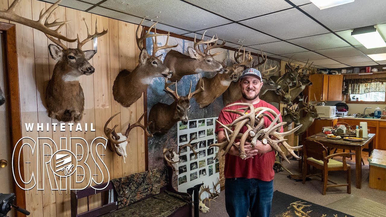 Whitetail Cribs: PA BIG WOODS DEER CAMP Full of Public Land Bucks