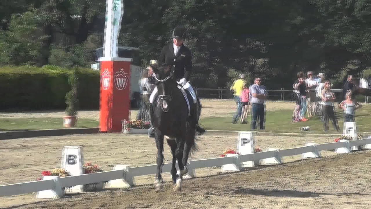 SONNENTANZ & Danica Duen - Finale Westfalenwoche Münster-Handorf 2015