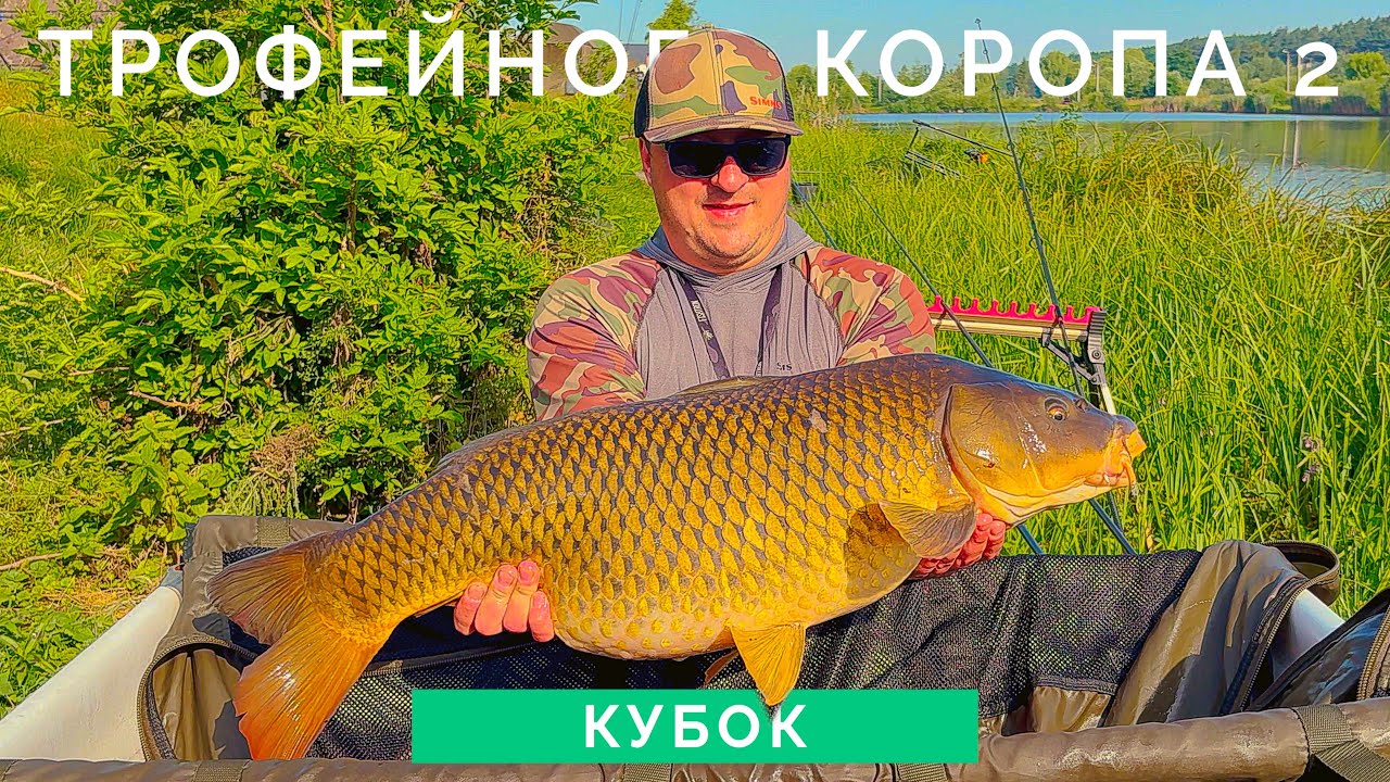 Кубок Трофейного Коропа  2 - 
