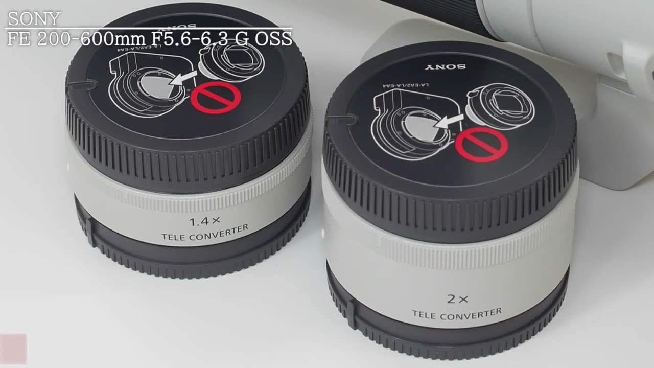 ソニー FE 200-600mm F5.6-6.3 G OSS（カメラのキタムラ動画_SONY）