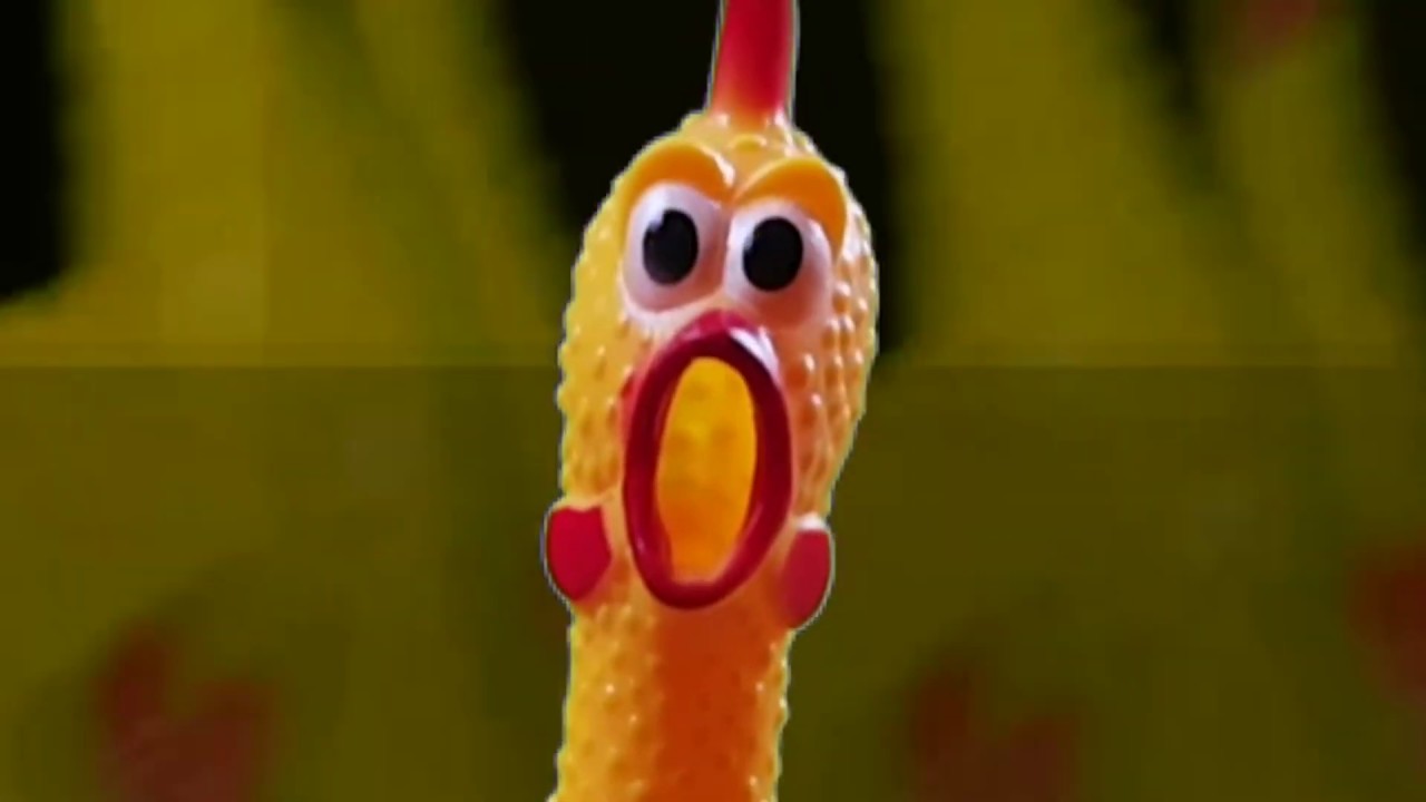 Pollo chillon. bohemian rhapsody.