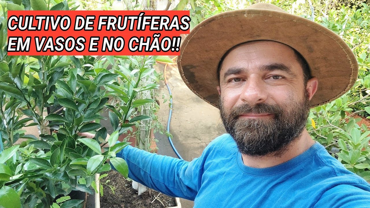 TRANSFORMEI MEU QUINTAL QUE MEDE 10X10 EM UM POMAR DE FRUTAS EM VASOS!! #espaçamento #frutiferas