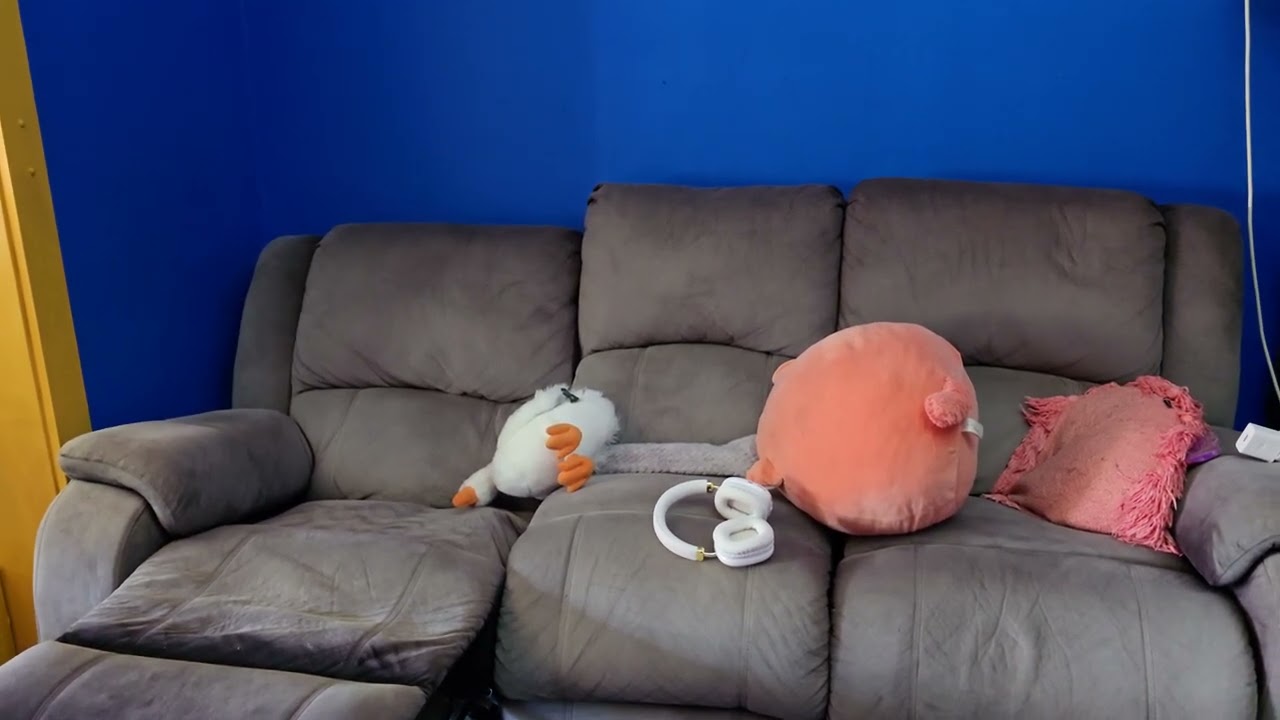 I Manifested a Couch for $50 -#fridayhauls