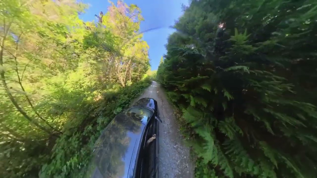 Clear Creek Hot Springs Adventure | BC Off-Road Journey & Relaxation