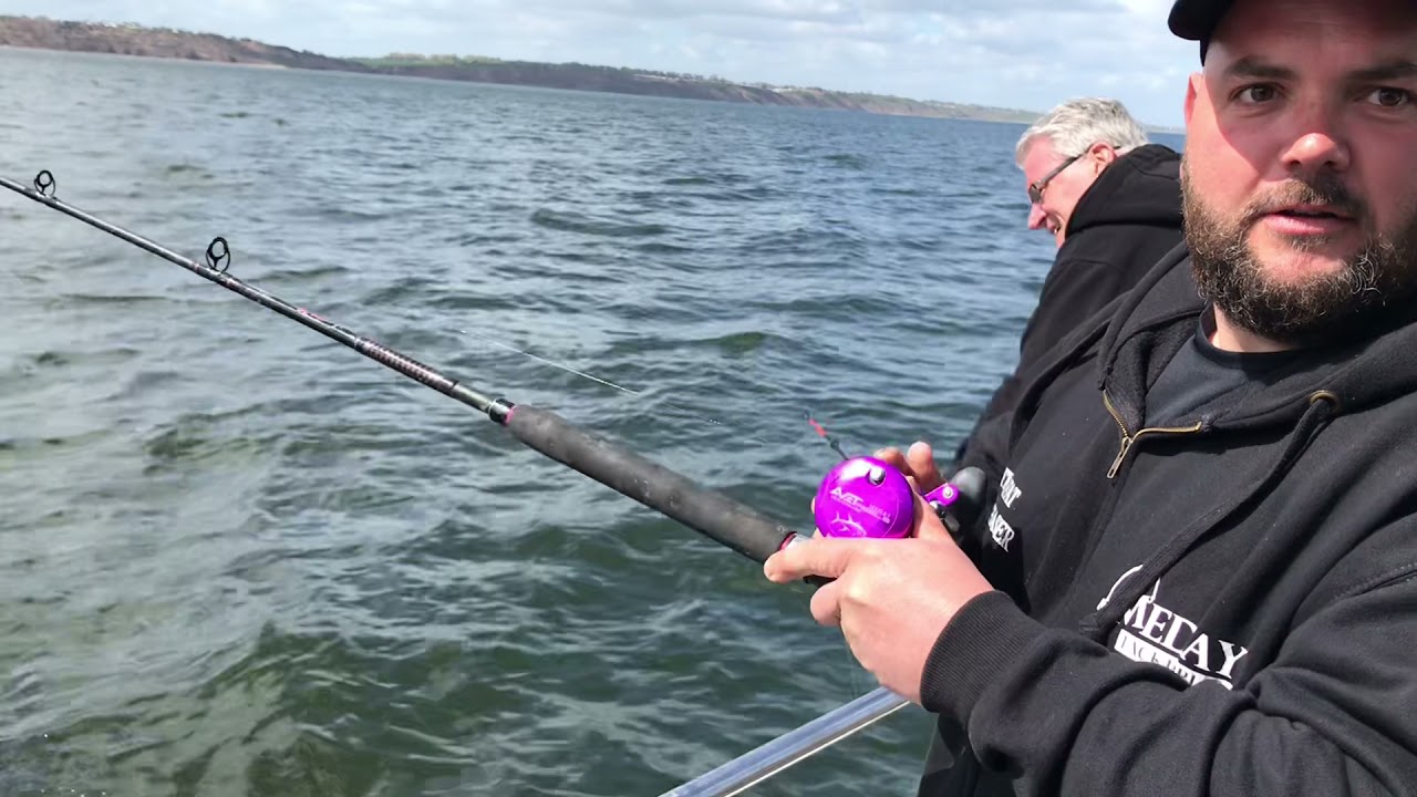 Smooth hound shark , skate boat fishing on dentex Thames estuary isle of Sheppey using peeler crab