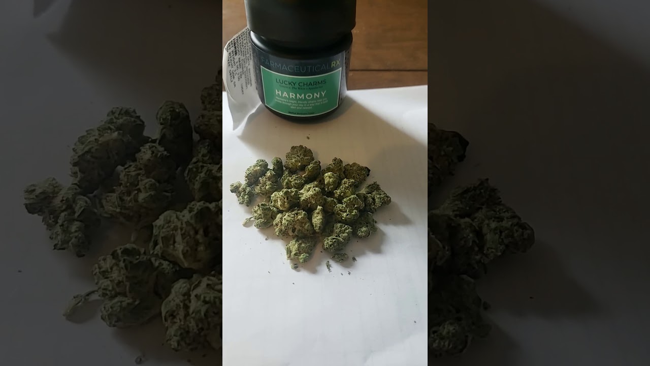 🌈💨Medical Marijuana Review #33 : Lucky Charms [ mini flower ] : Farmaceutical RX