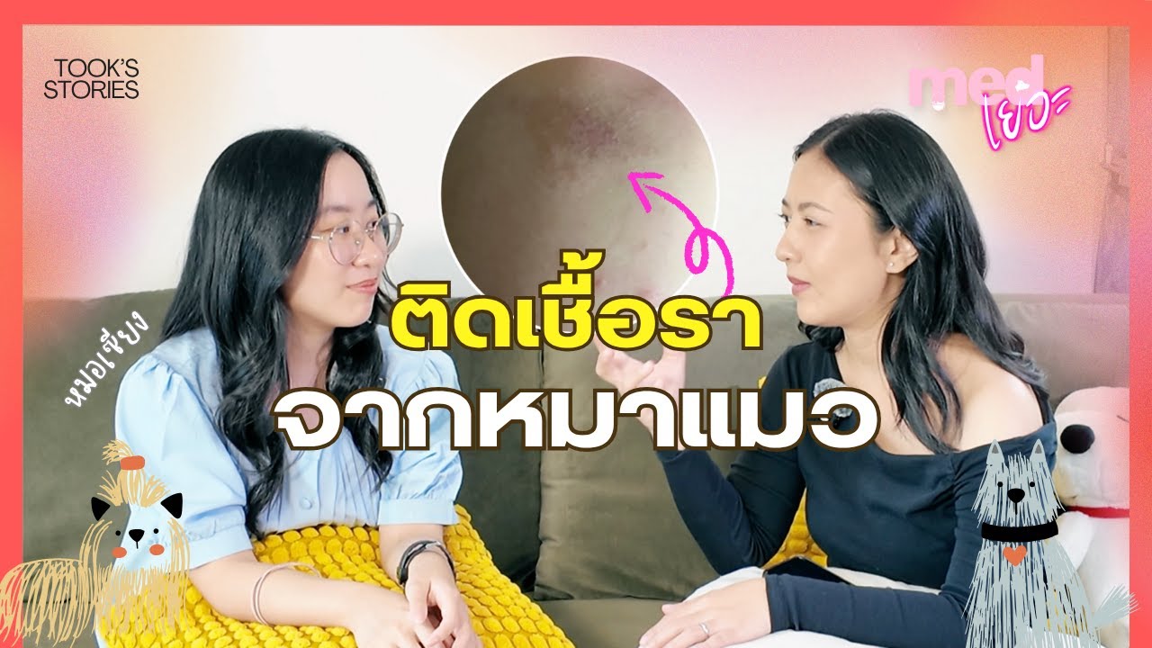 เชื้อราหมาแมว ติดคนจนเป็นเกลื้อน | ดูแลน้องหมาน้องแมวหน้าฝนให้พ้นจากเห็บหมัด | More Med Ep.8