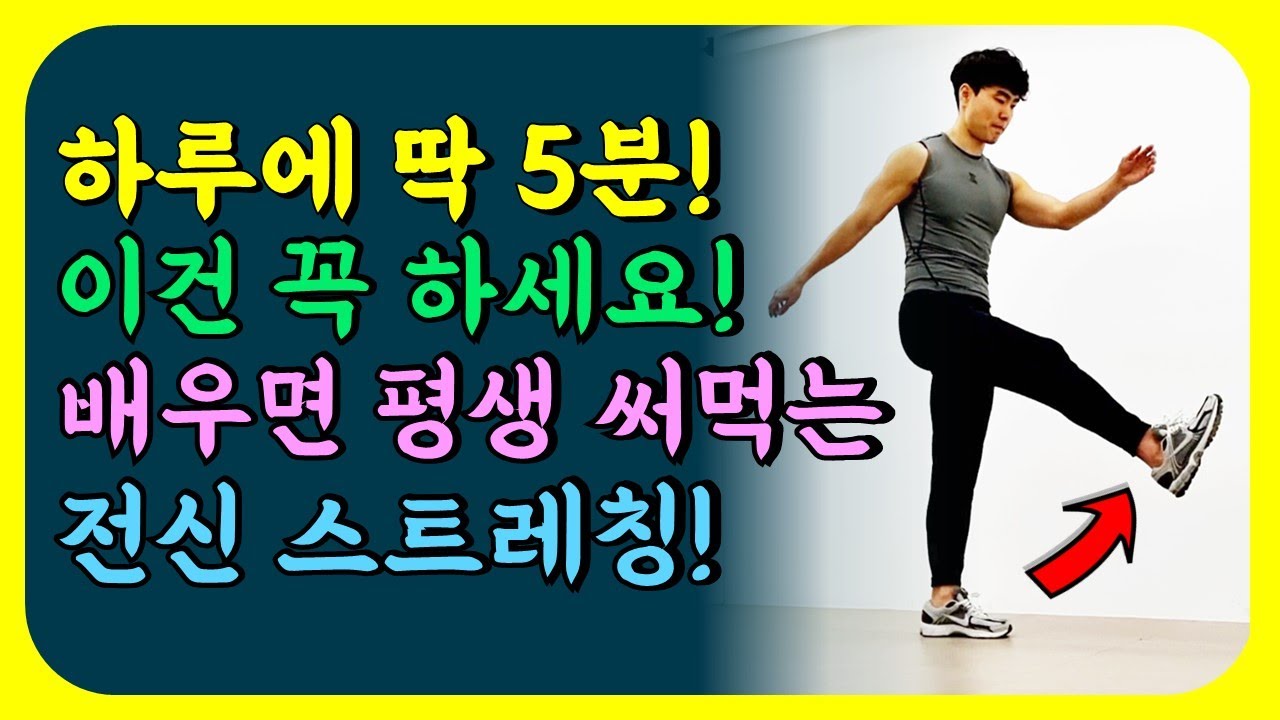 운동 전에 필수! 최고의 전신 스트레칭 꼭 따라해 보세요! 운동효과 2배로 향상됩니다! [혈액순환, 햄스트링, 고관절, 어깨, 허리, 동적, 중년, 50대, 40대]