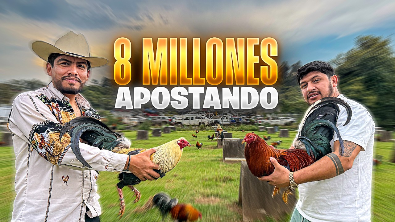 ¡VIAJE EN AVIÓN PRIVADO CON GALLOS! Pastor de Gallos de el Partido la Carbonera
