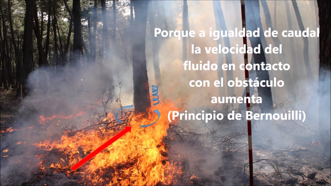 Quemas prescritas bajo arbolado: el efecto chimenea