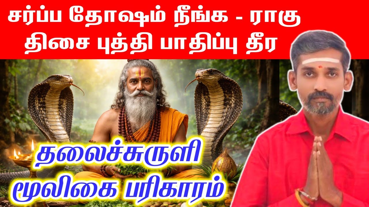 சர்ப்ப தோஷம் நீங்க | ராகு திசை புத்தி பாதிப்பு தீர மூலிகை பரிகாரம் | Sarpa Dosham Pariharam