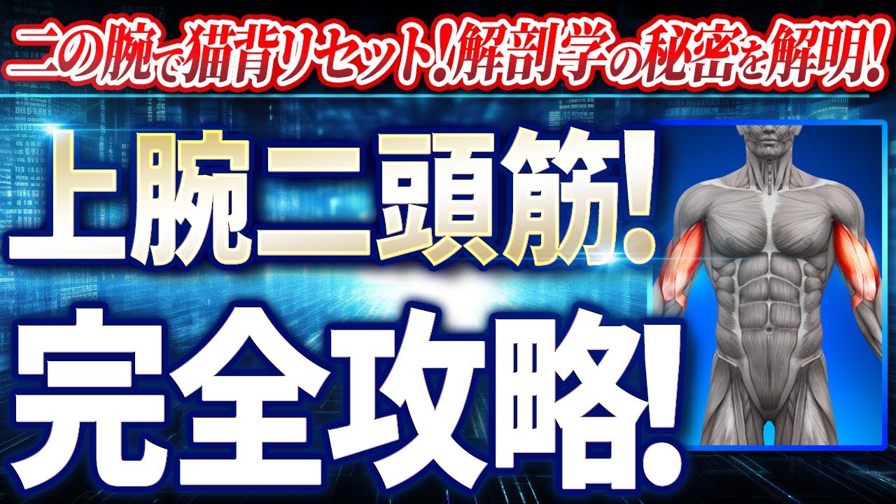 上腕二頭筋完全攻略！二の腕リセットで猫背解消の秘密！