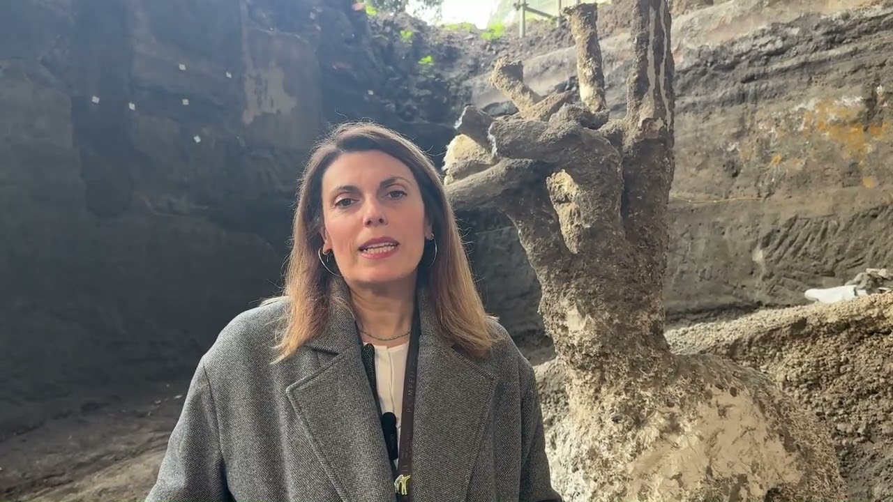 Villa di Poppea, nuovi affreschi e ambienti riemergono dal cantiere di scavo e restauro a Oplontis