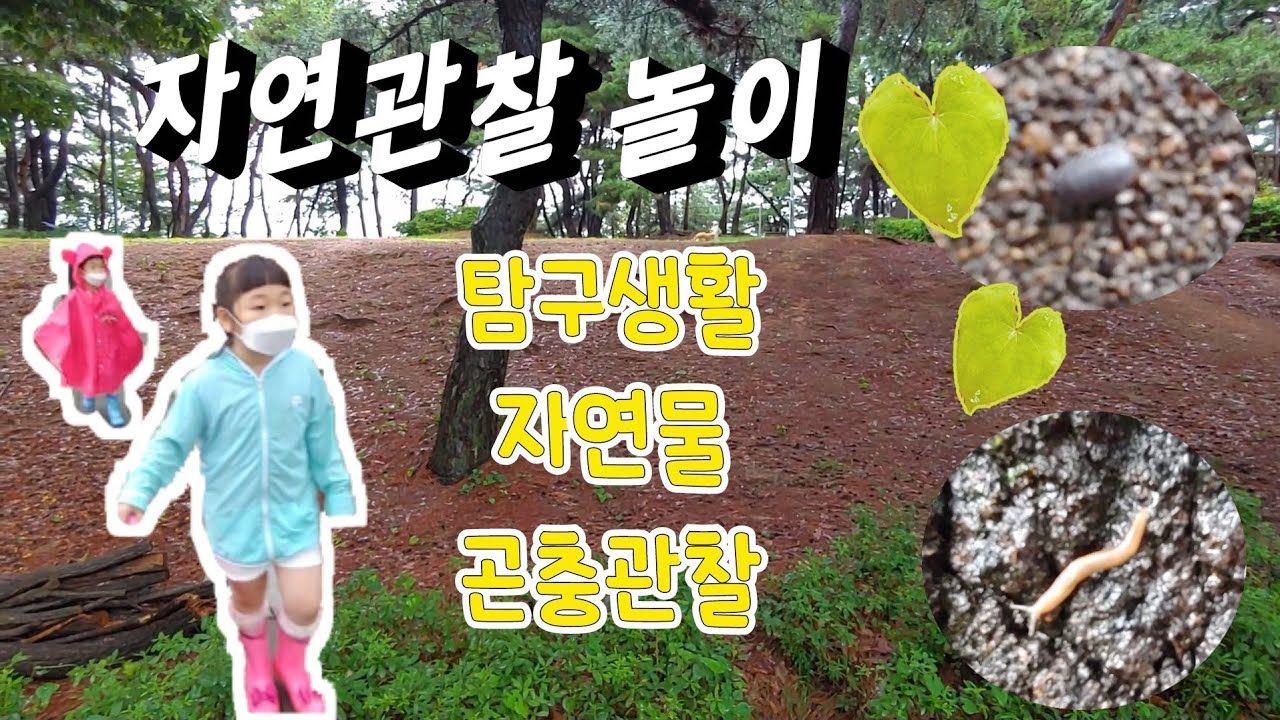 [엄마표놀이] 엄마표 비오는날 자연관찰 학습