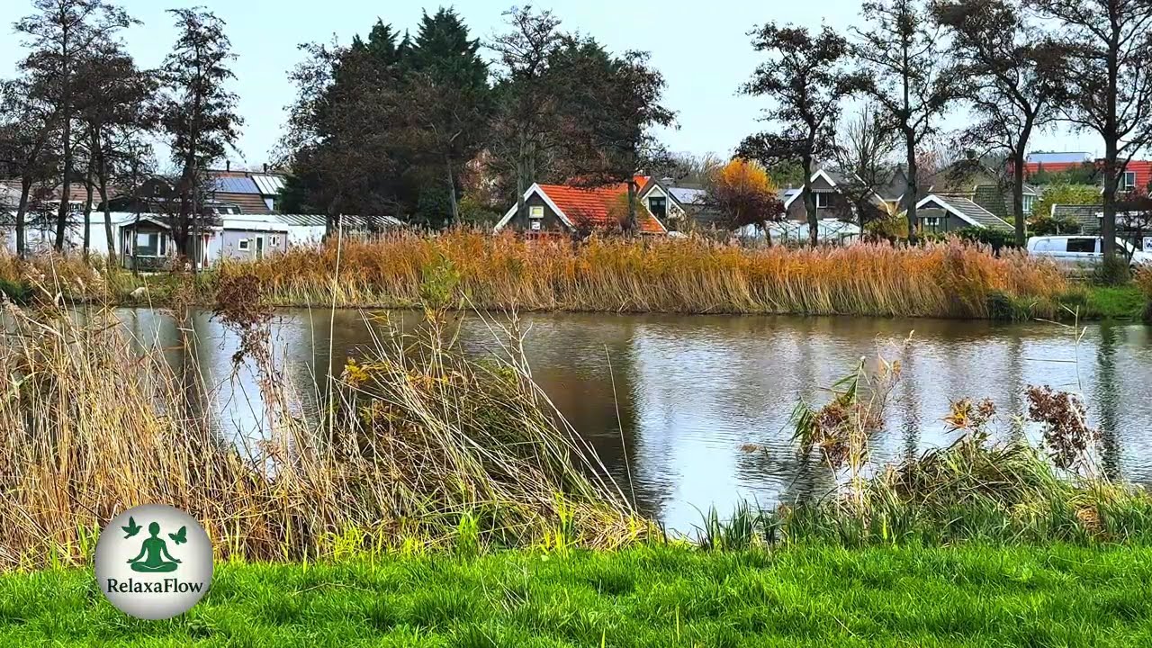 Relaxing Music with Pond View 🌿 Stress Relief, Sleep & Meditation 🧘&zwj;♀️ 