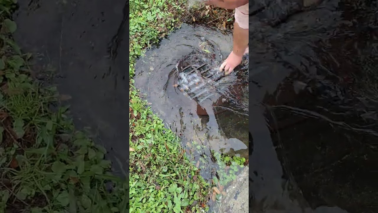 Unclogging parking lot drain ! Major whirlpool ! #drain #whirlpool #cloggeddrain 