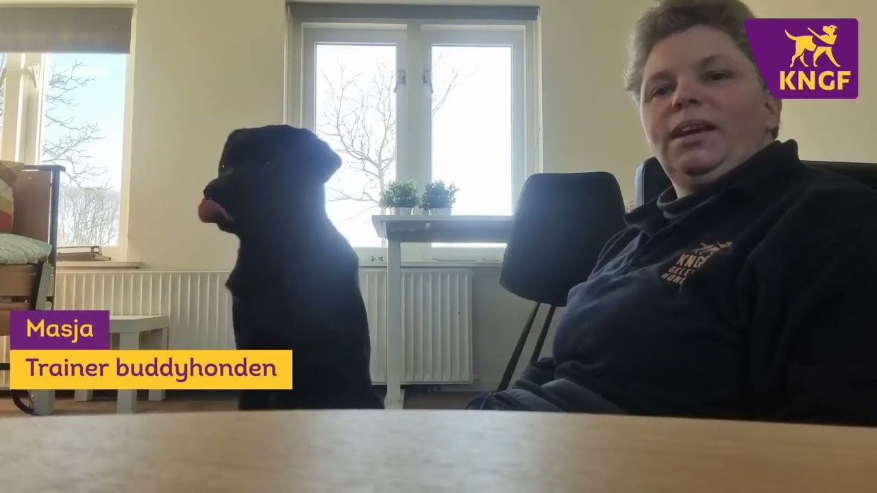 Vlog Masja met assistentiehond kind Fedor. Basistrucjes voor gezinnen met jonge kinderen.