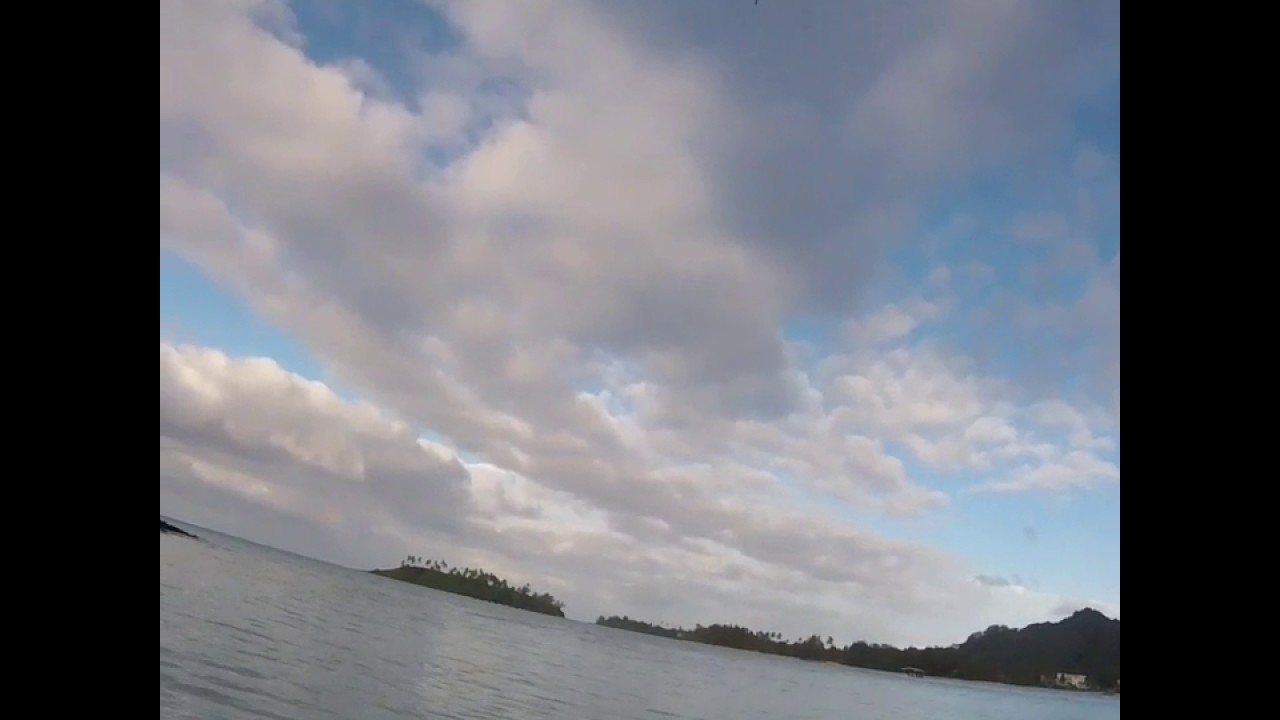Blue-fin trevelly, Muri lagoon, Rarotonga. Go pro